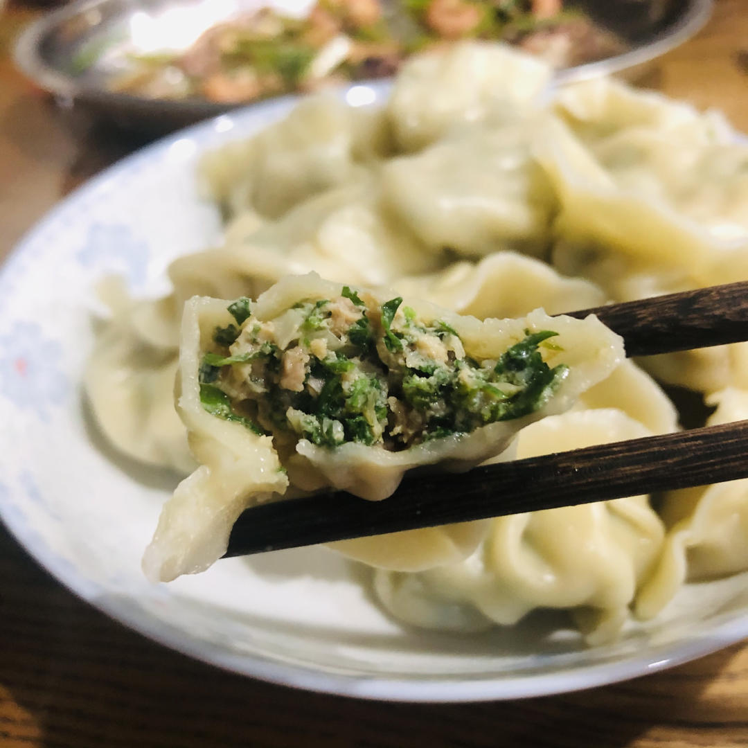 荠菜鲜肉饺子
