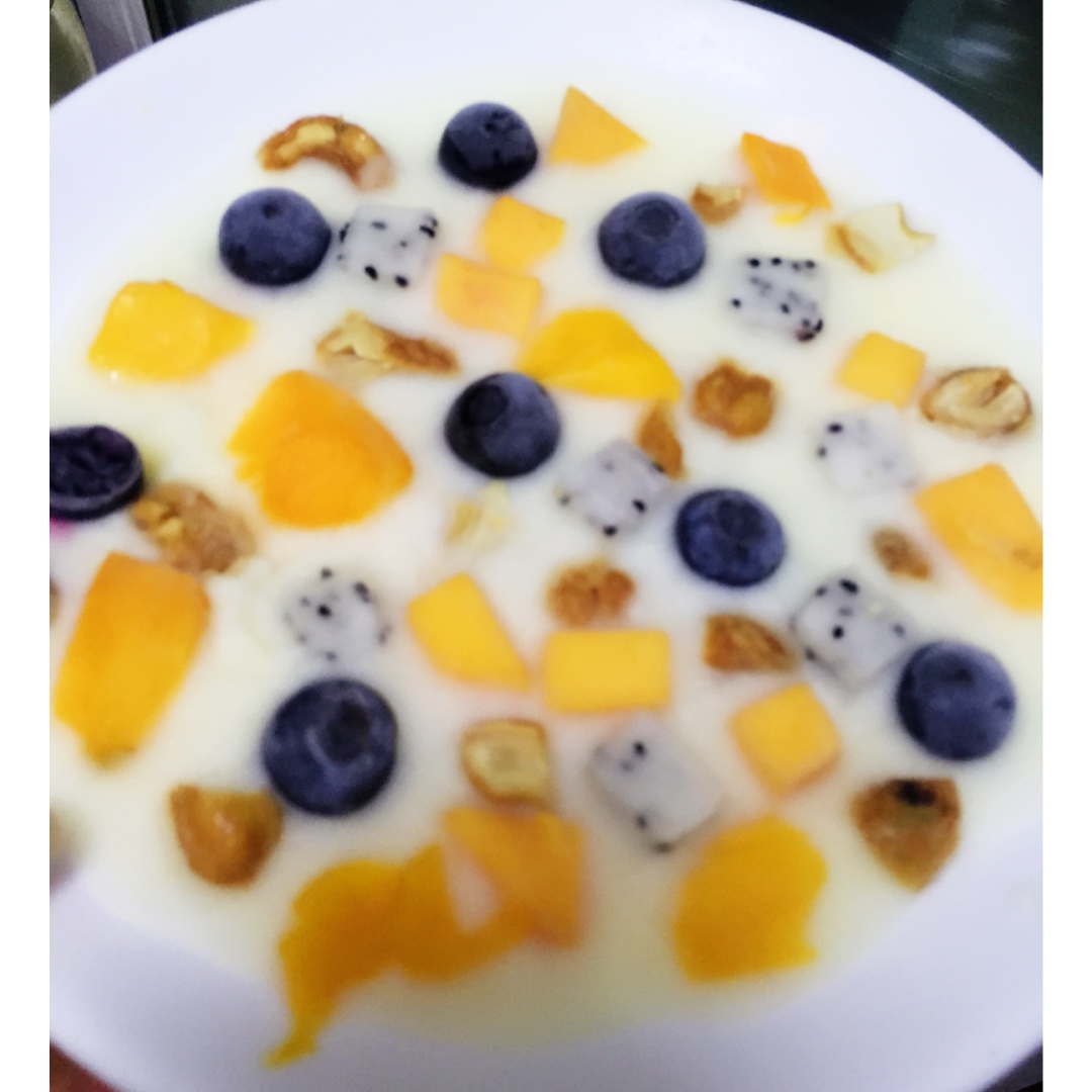 酸奶水果薄脆Yogurt Fruits Bar