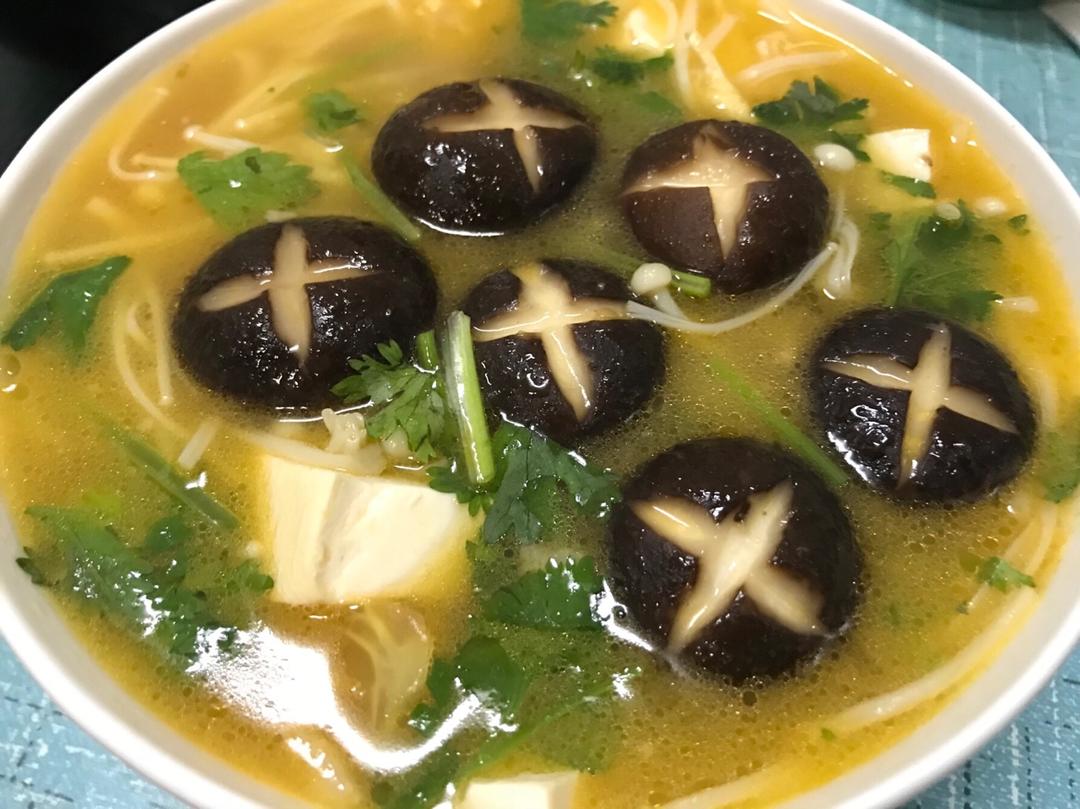 西红柿菌菇豆腐汤