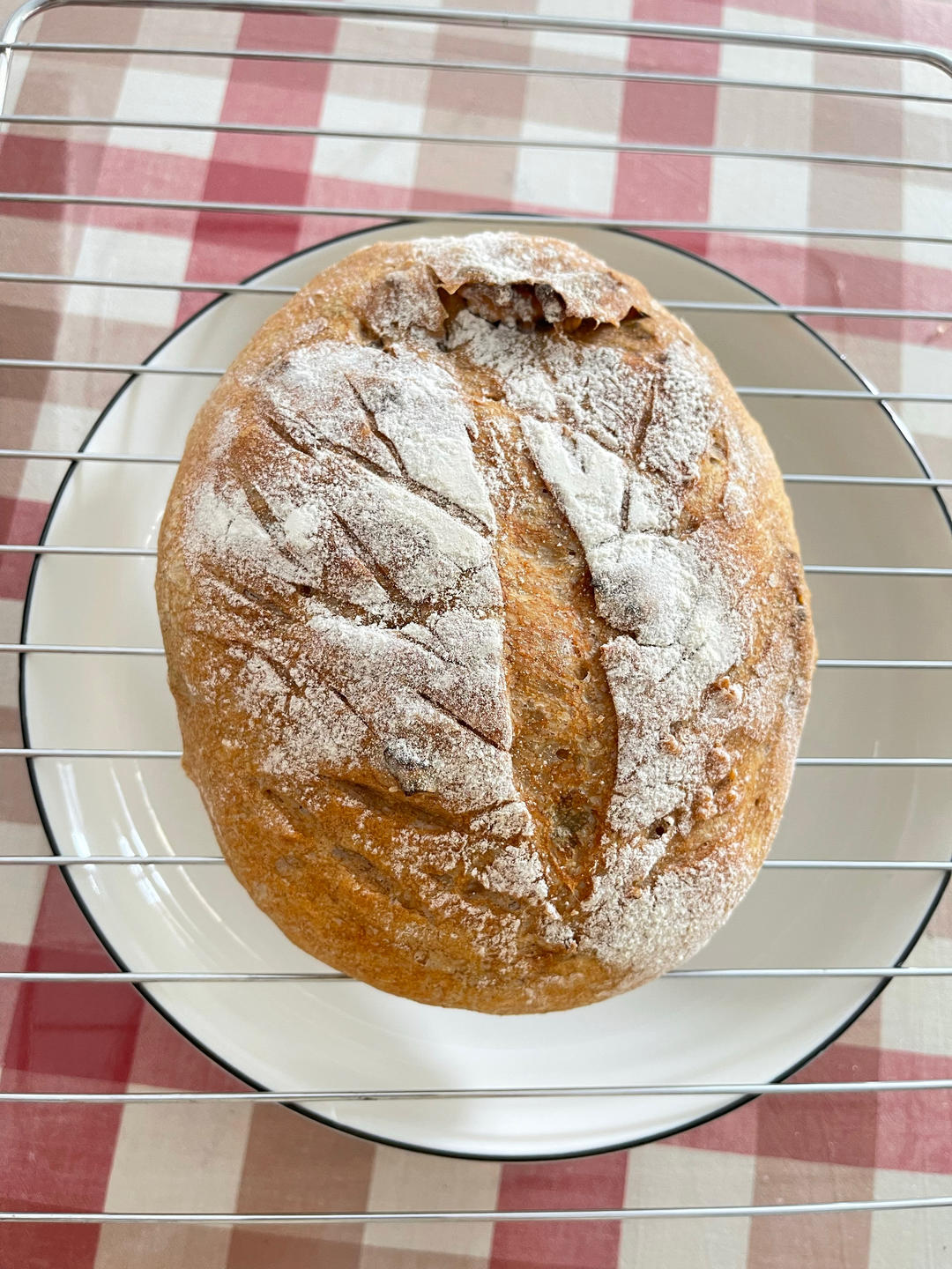 🍞免揉欧包新手入门指南（冷藏发酵、无油无糖）