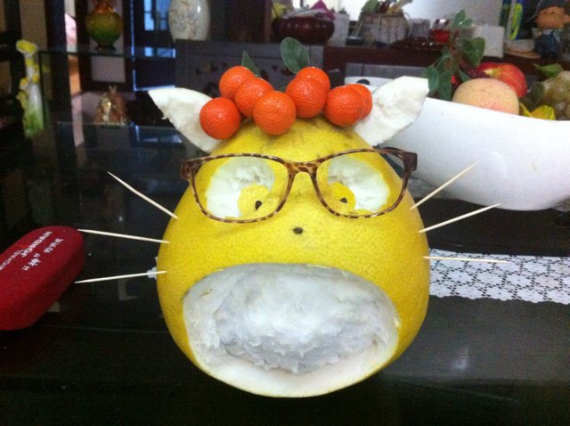顽皮柚子龙猫