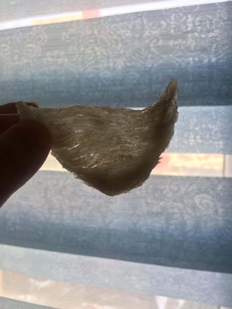 燕窝独家泡发挑毛（专业详细）