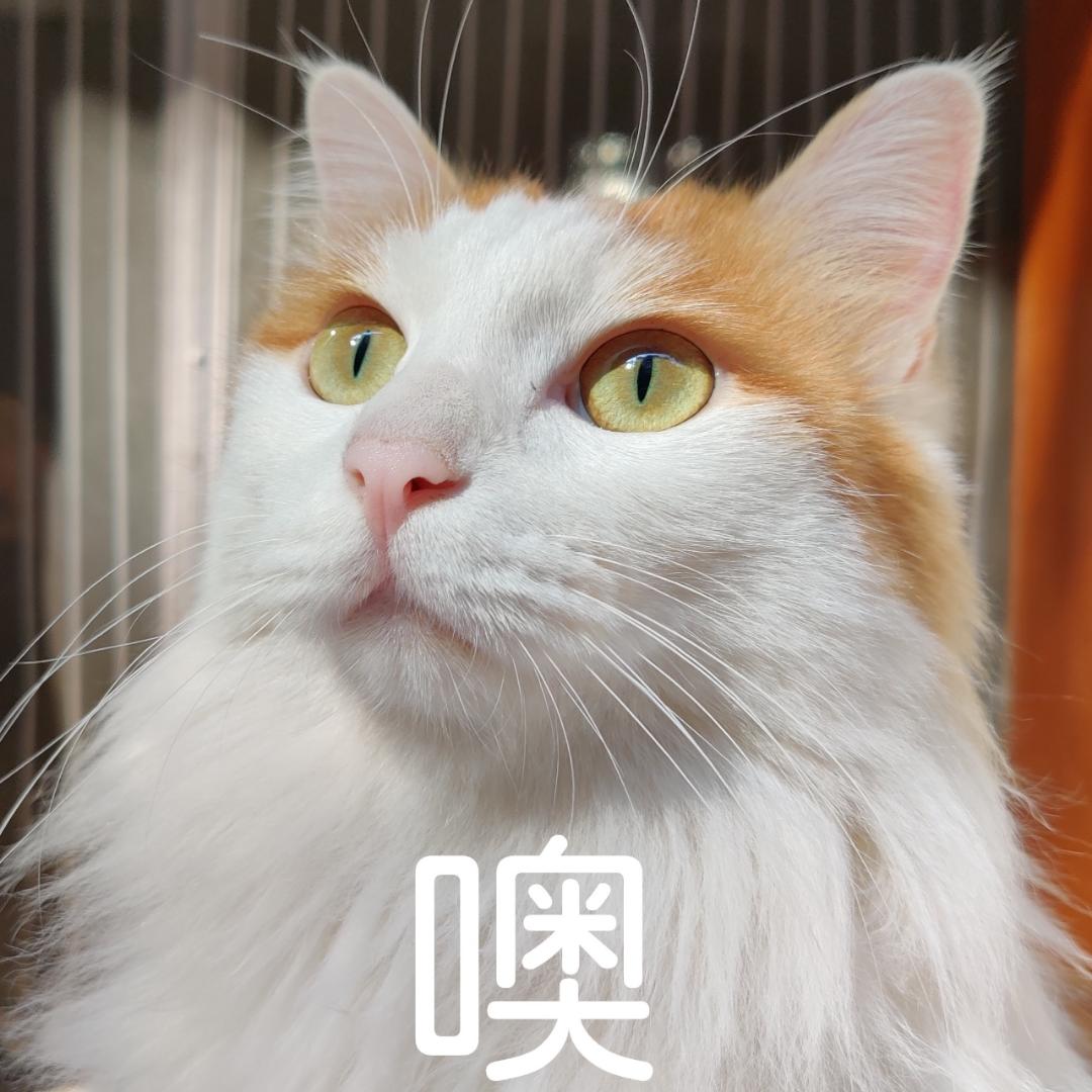 不是用户不存在