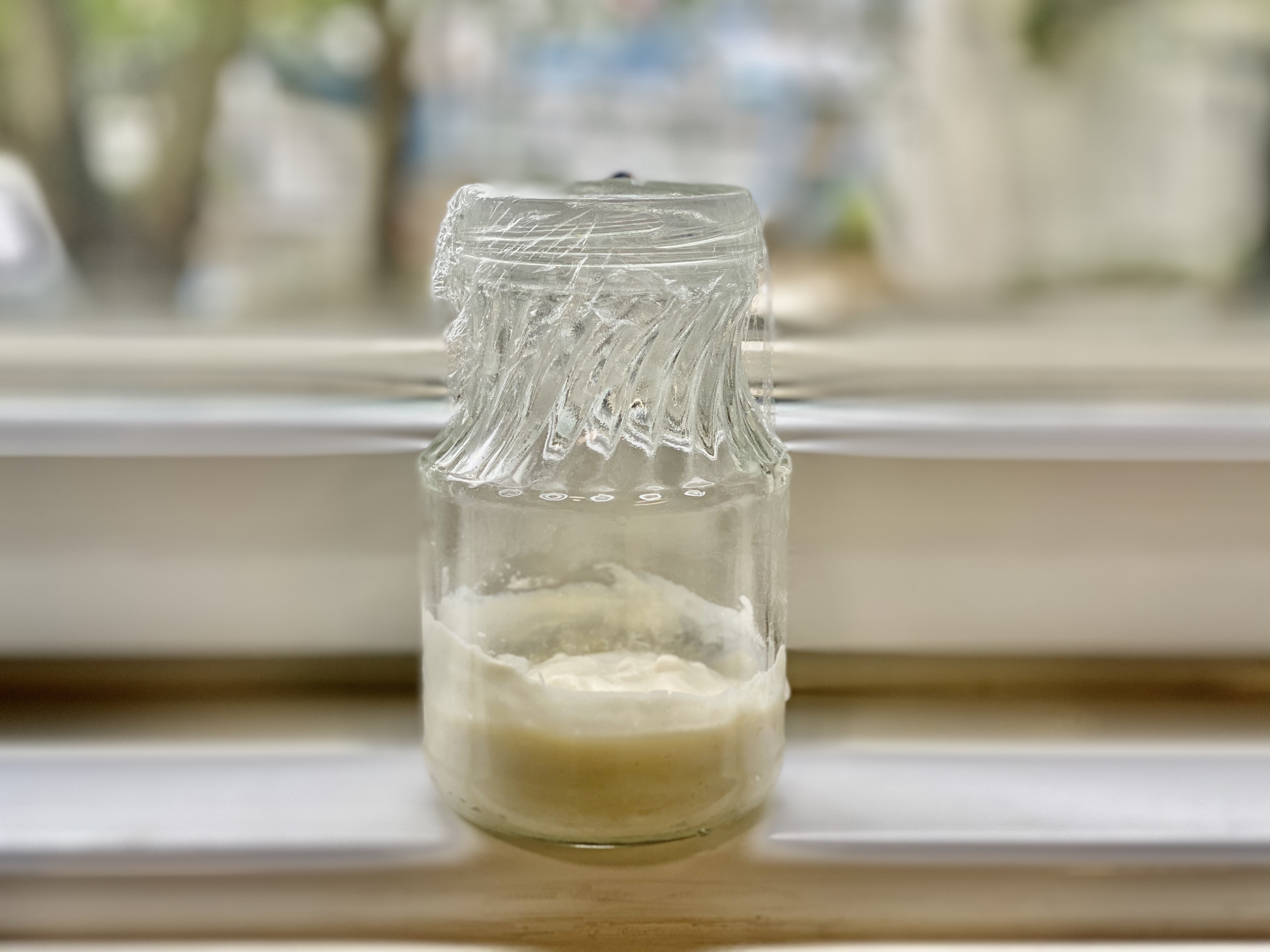 酸奶天然酵母的做法