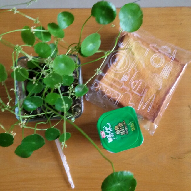 早餐•2014年7月16日