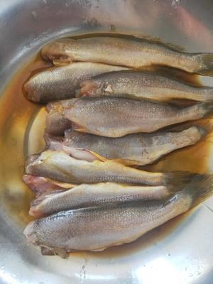 平底锅5步煎出香嫩可口的小黄花鱼的做法 步骤3