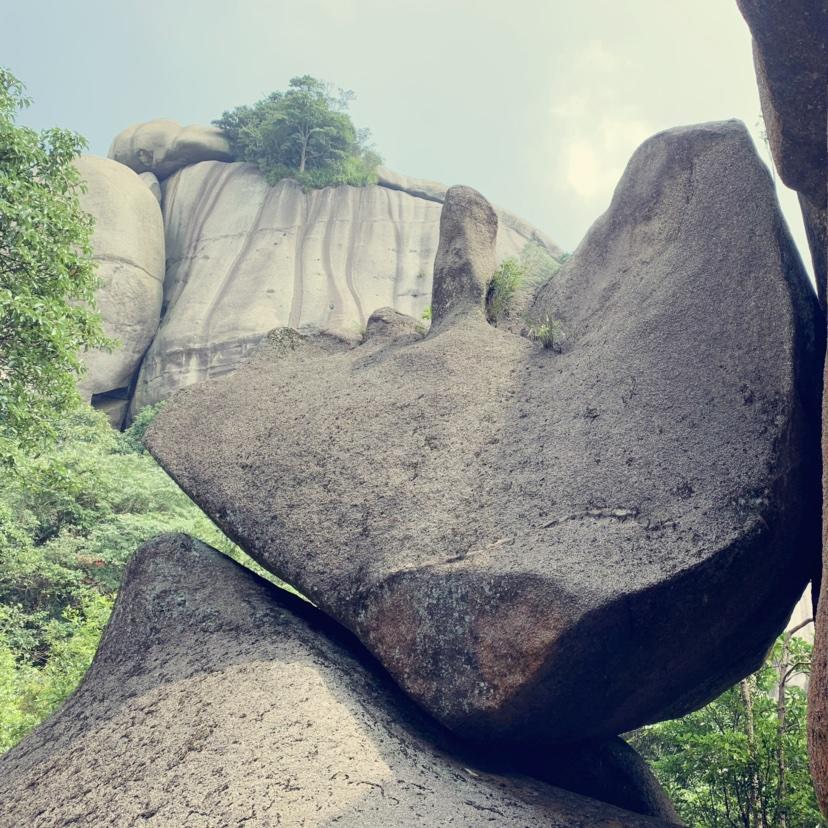 爱做美食的狮子座