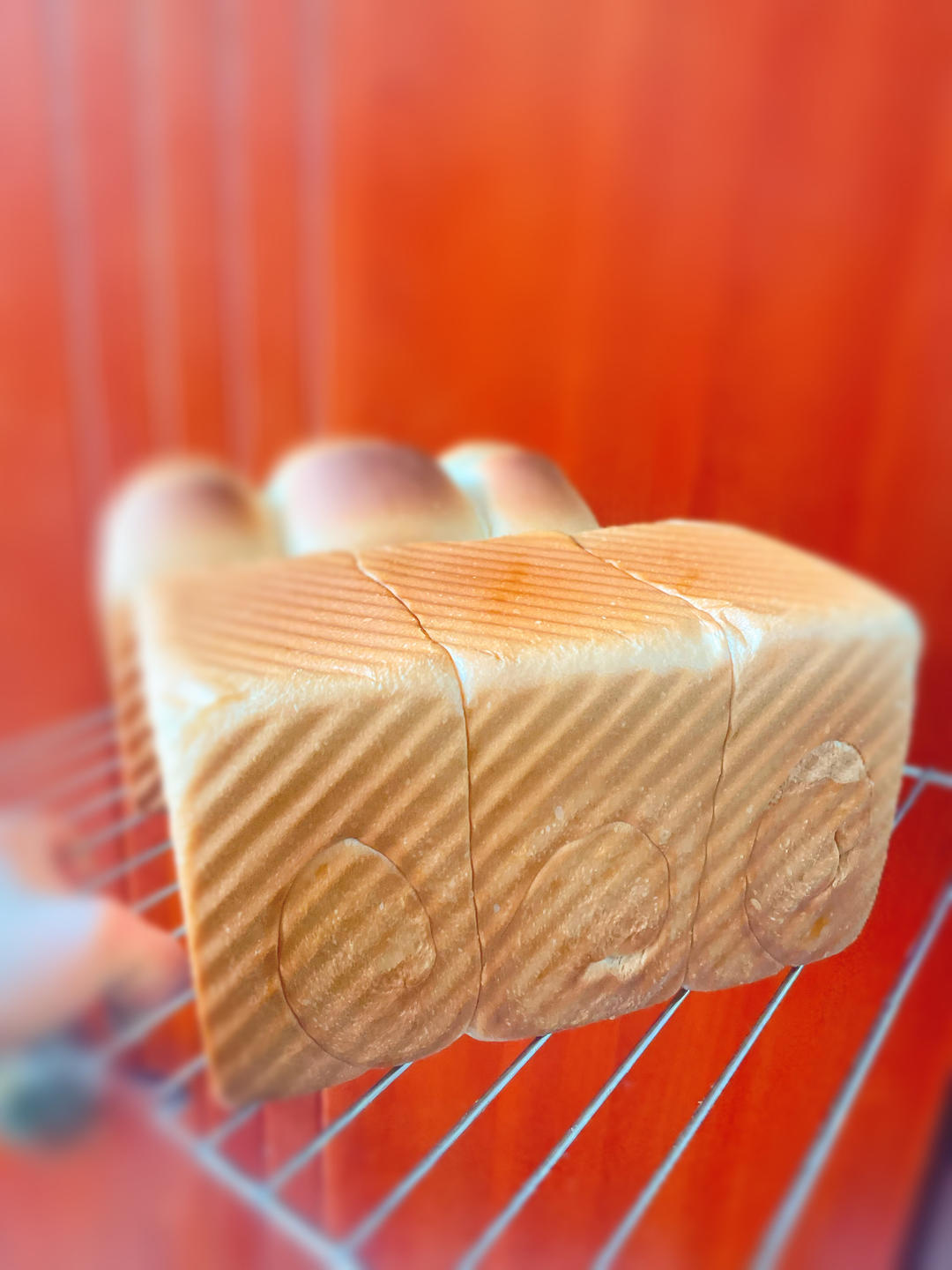 🌟只需一发的软妹子🌟奶香吐司🍞