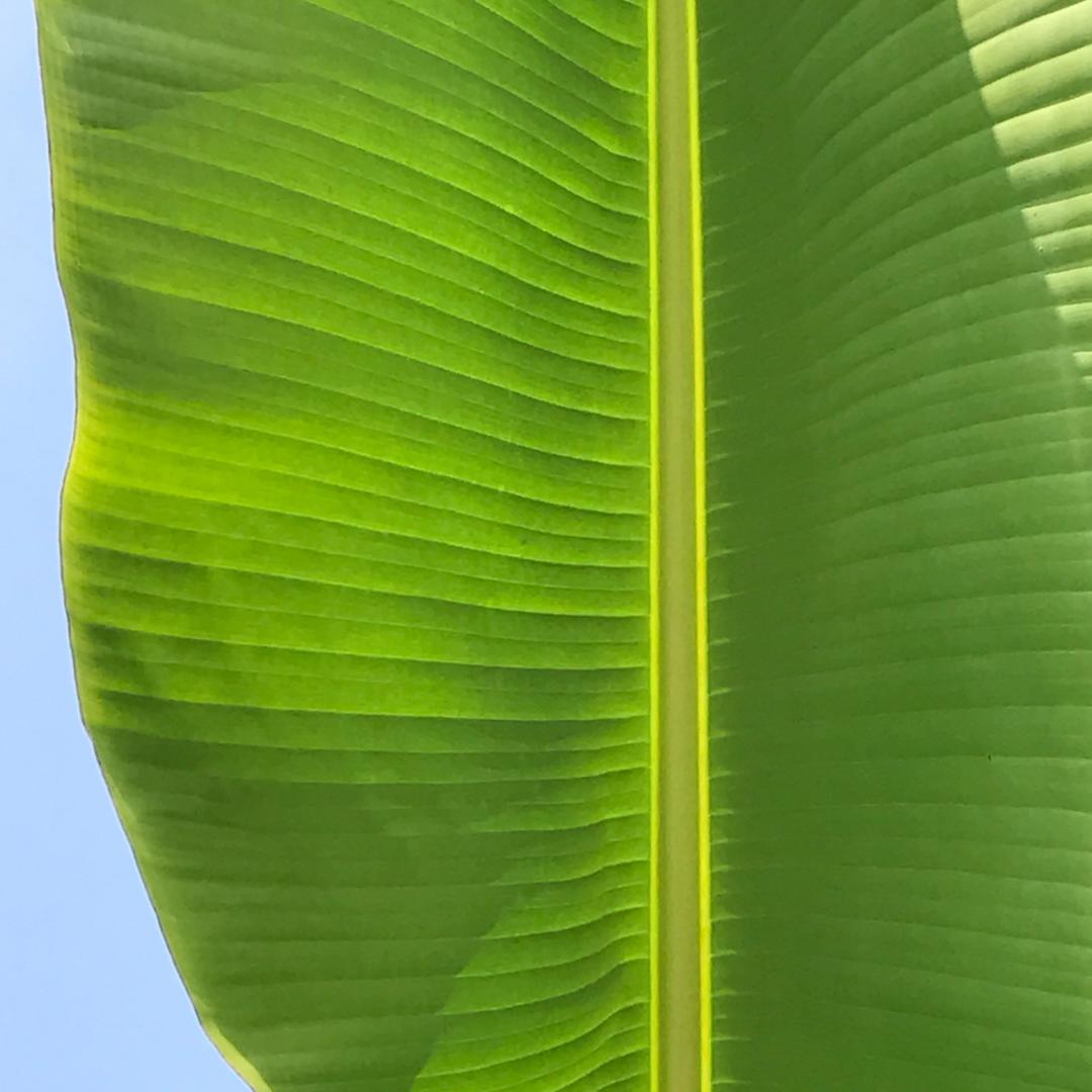 七七想睡觉