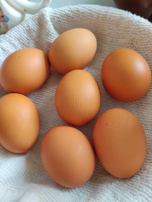 ✍低碳生酮减肥款✍自制咸蛋黄 — 🌹鸡蛋版🌹的做法 步骤1