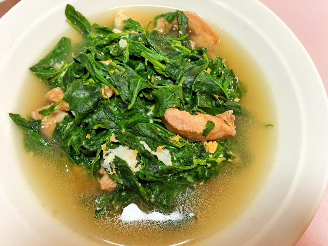 枸杞叶•瘦肉汤