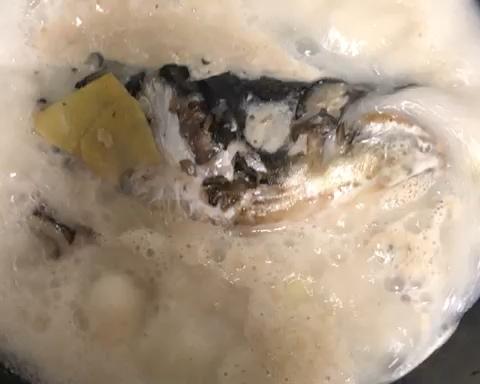花鲢鱼头汤