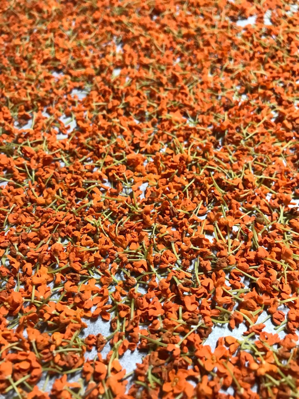 自制桂花干（烤箱版）