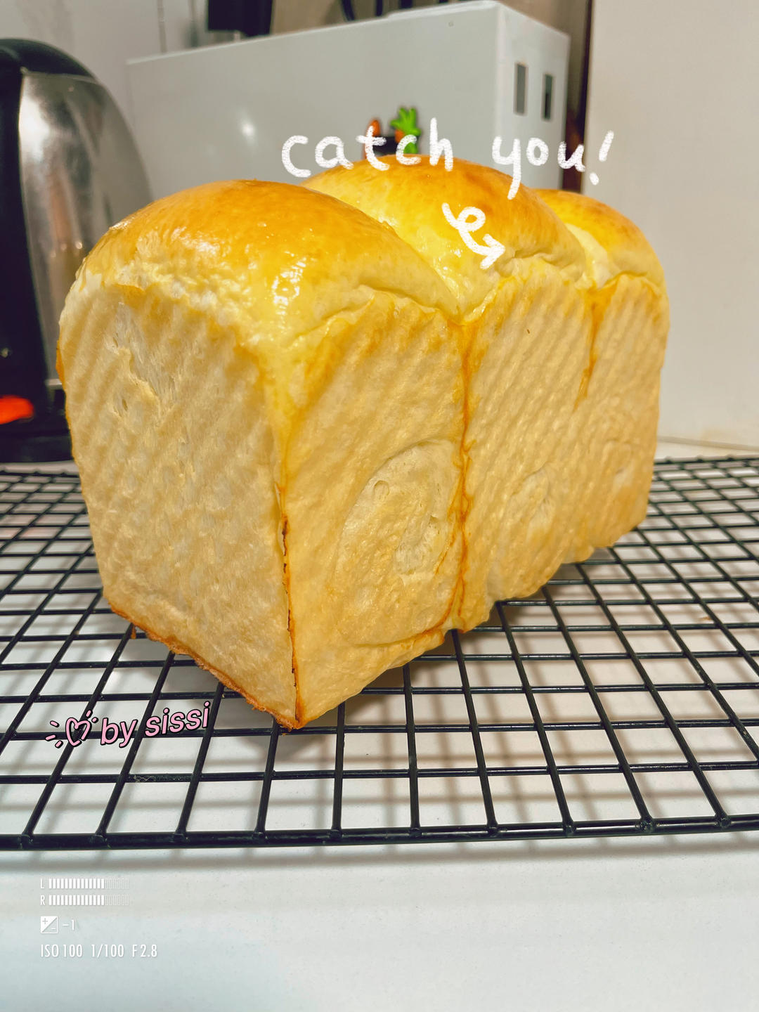 北海道吐司｜温柔奶香