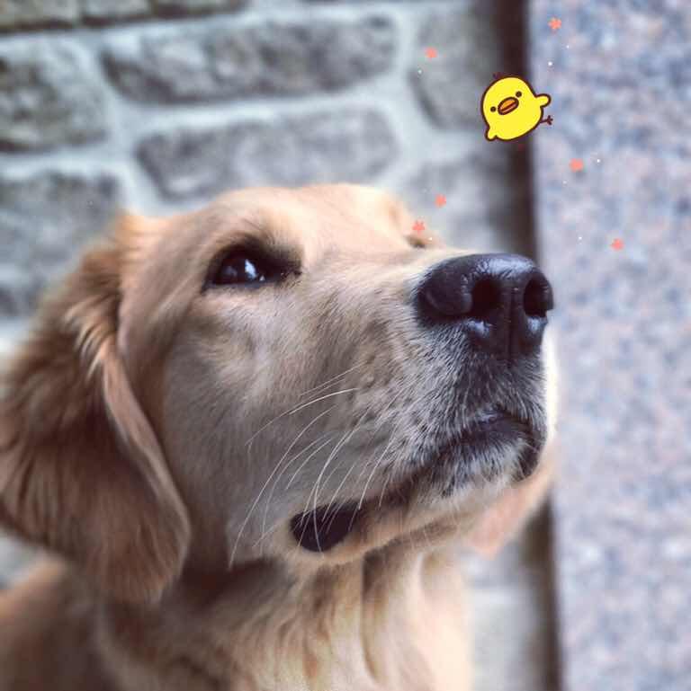 CANCAN_vhlt