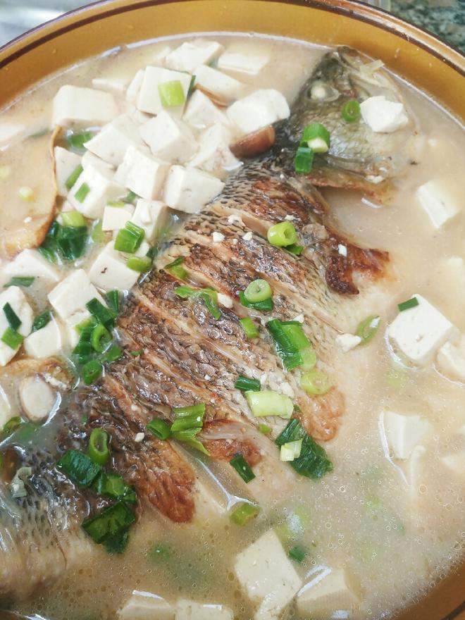 鲈鱼豆腐汤的做法