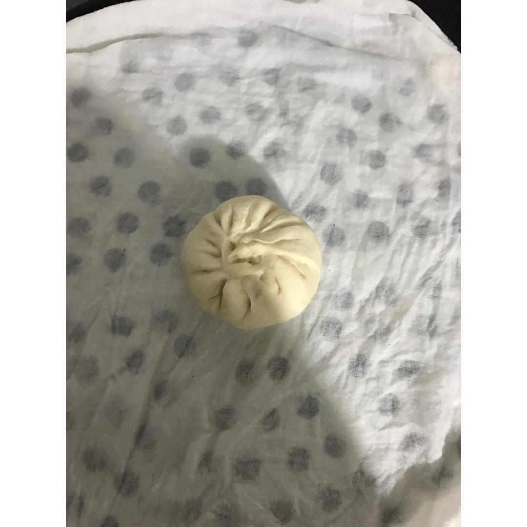 家庭手工肉馅大包子