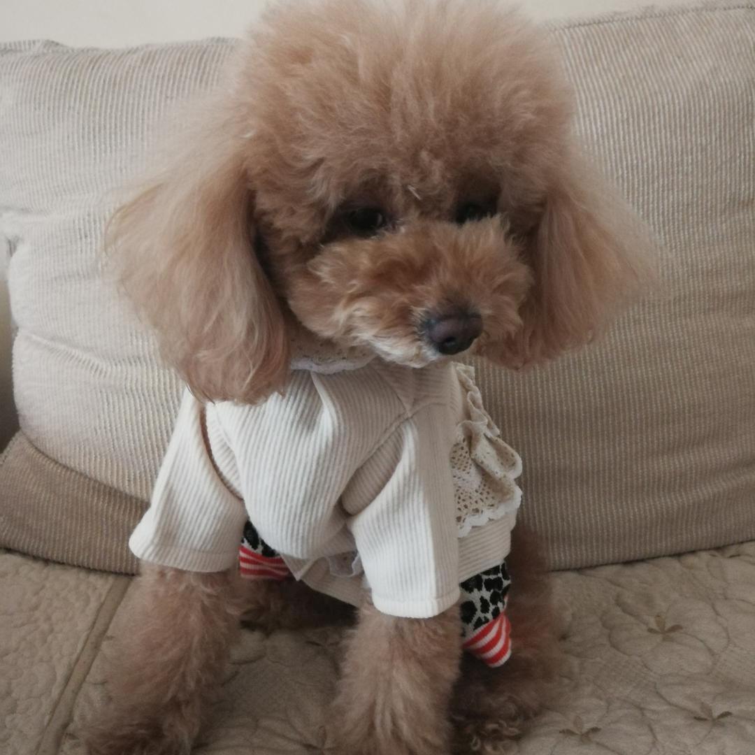 美妞和小布的麻麻