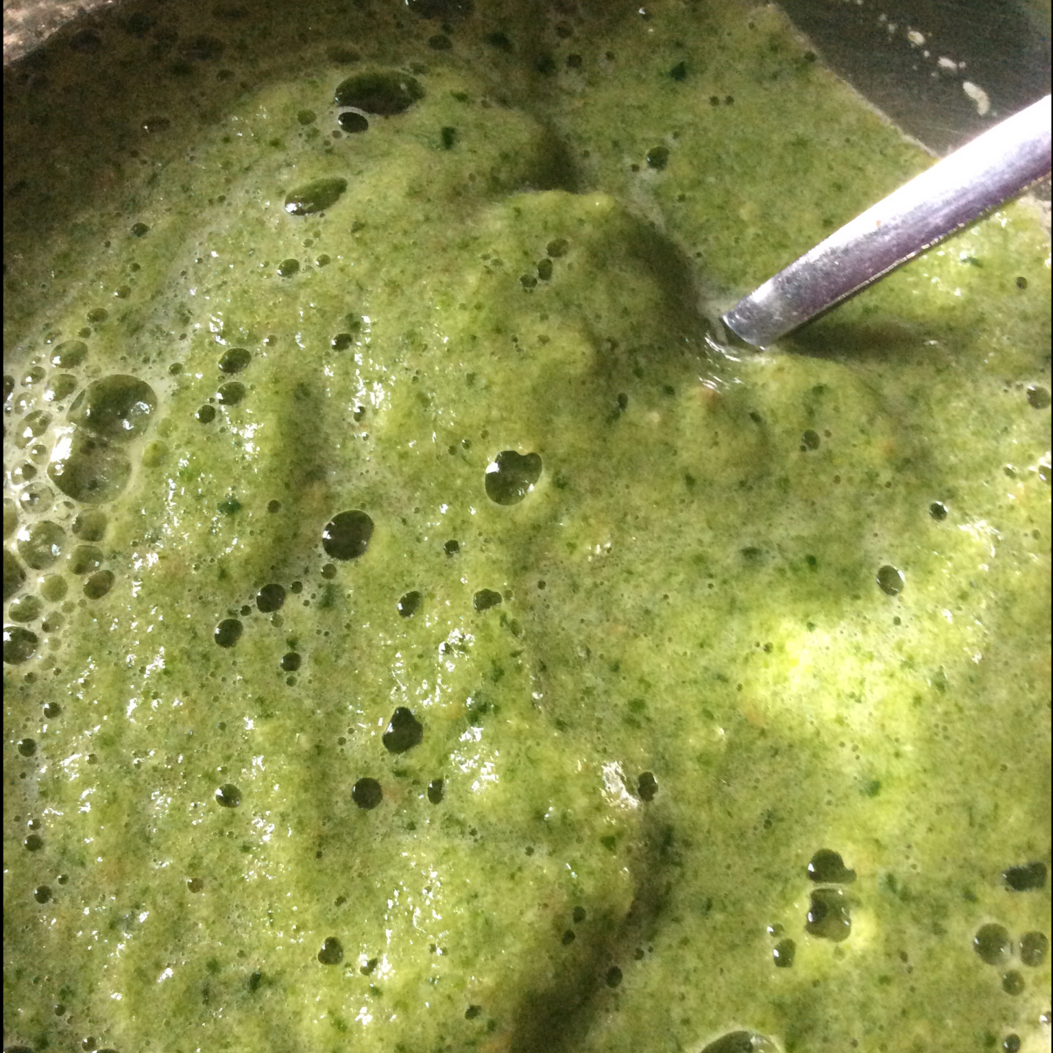 green smoothie 之 与山药君的30天