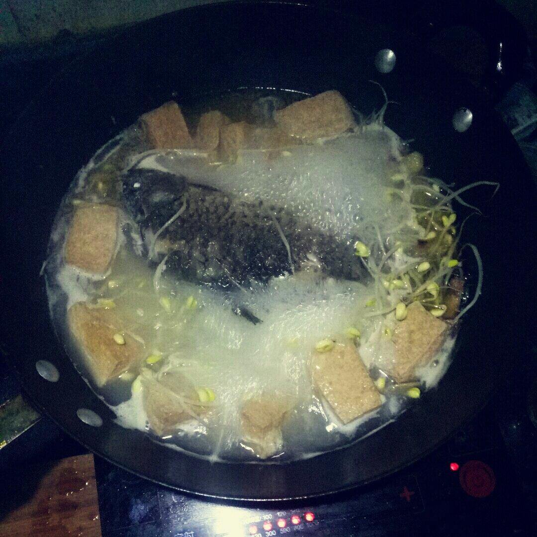 黄豆芽鲫鱼汤