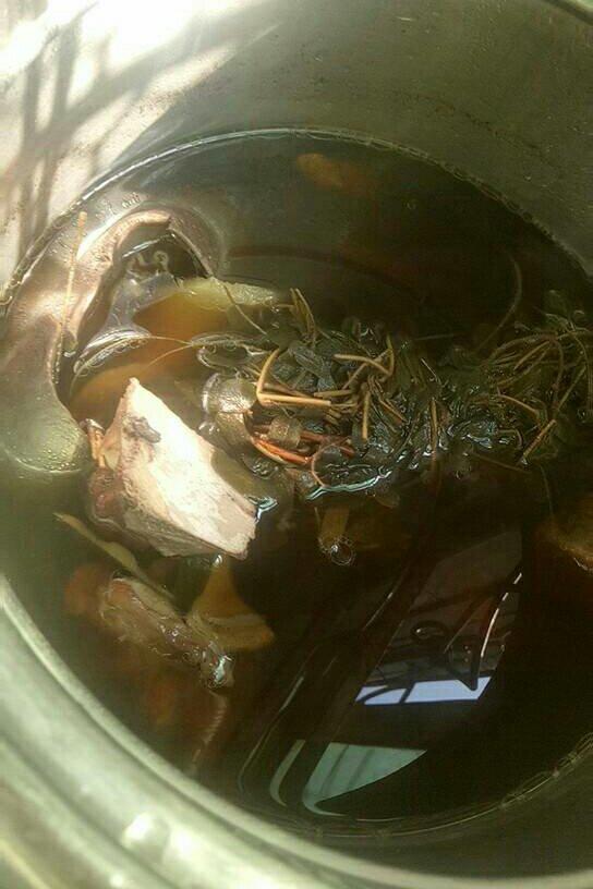猪横脷煲鸡骨草