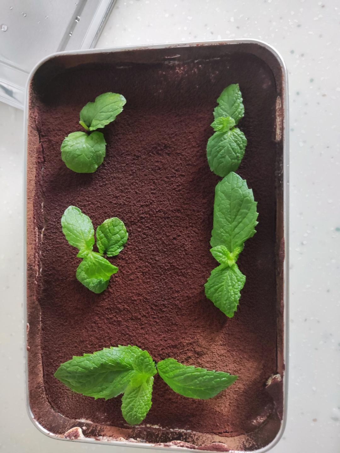 提拉米苏-不添加吉利丁的熟蛋做法才是真的好