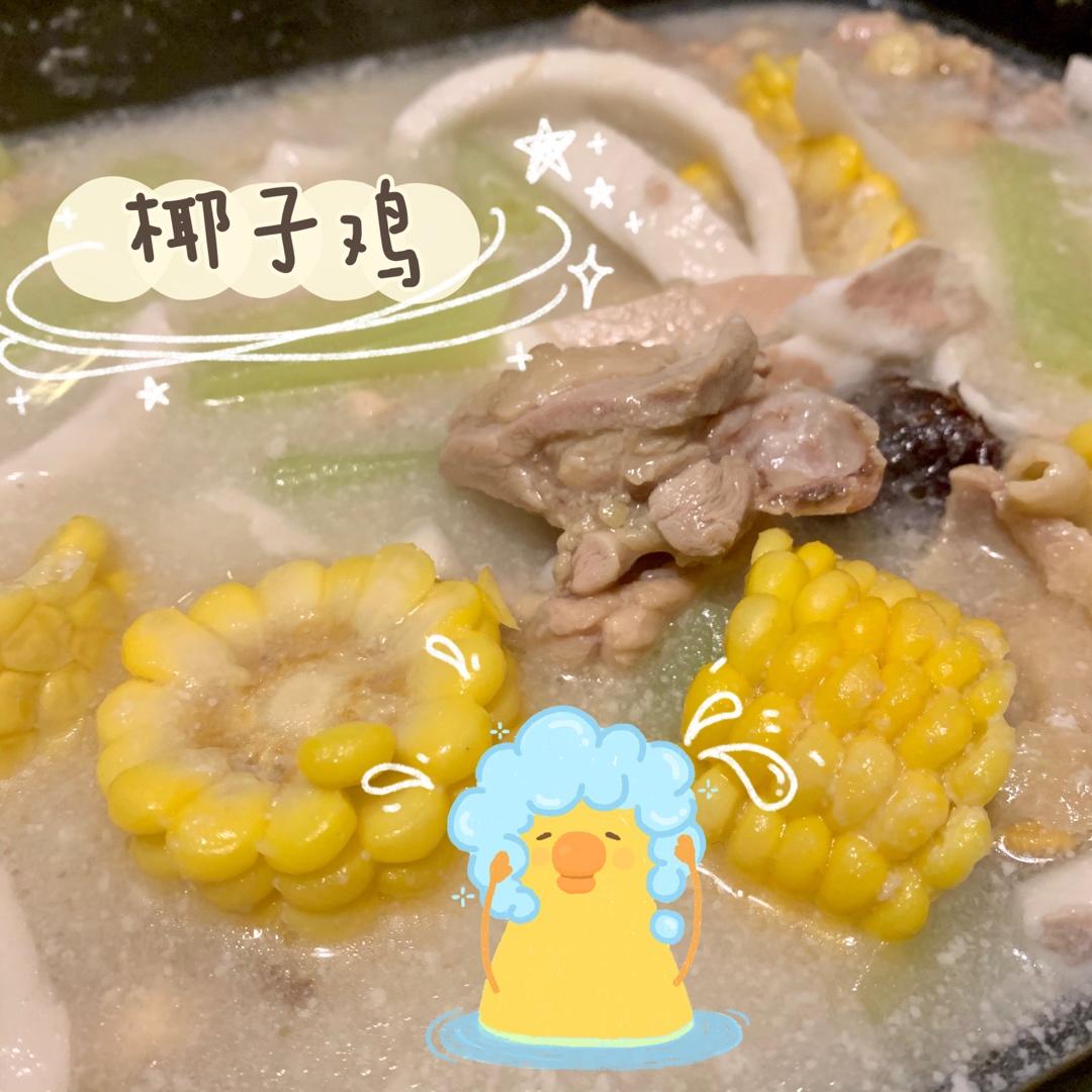 椰子鸡火锅【曼食慢语】