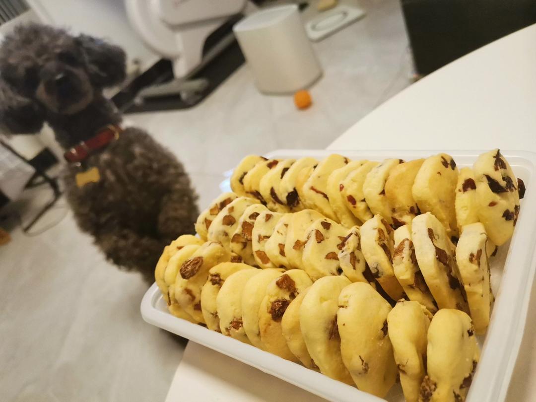 低糖少油版蔓越莓饼干