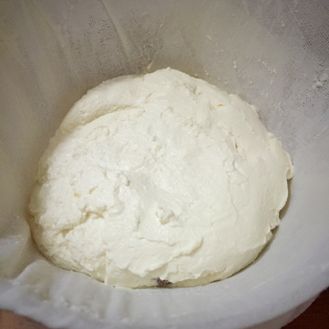 自制新鲜ricotta奶酪. Homemade Ricotta.