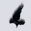 freeair_mvq3