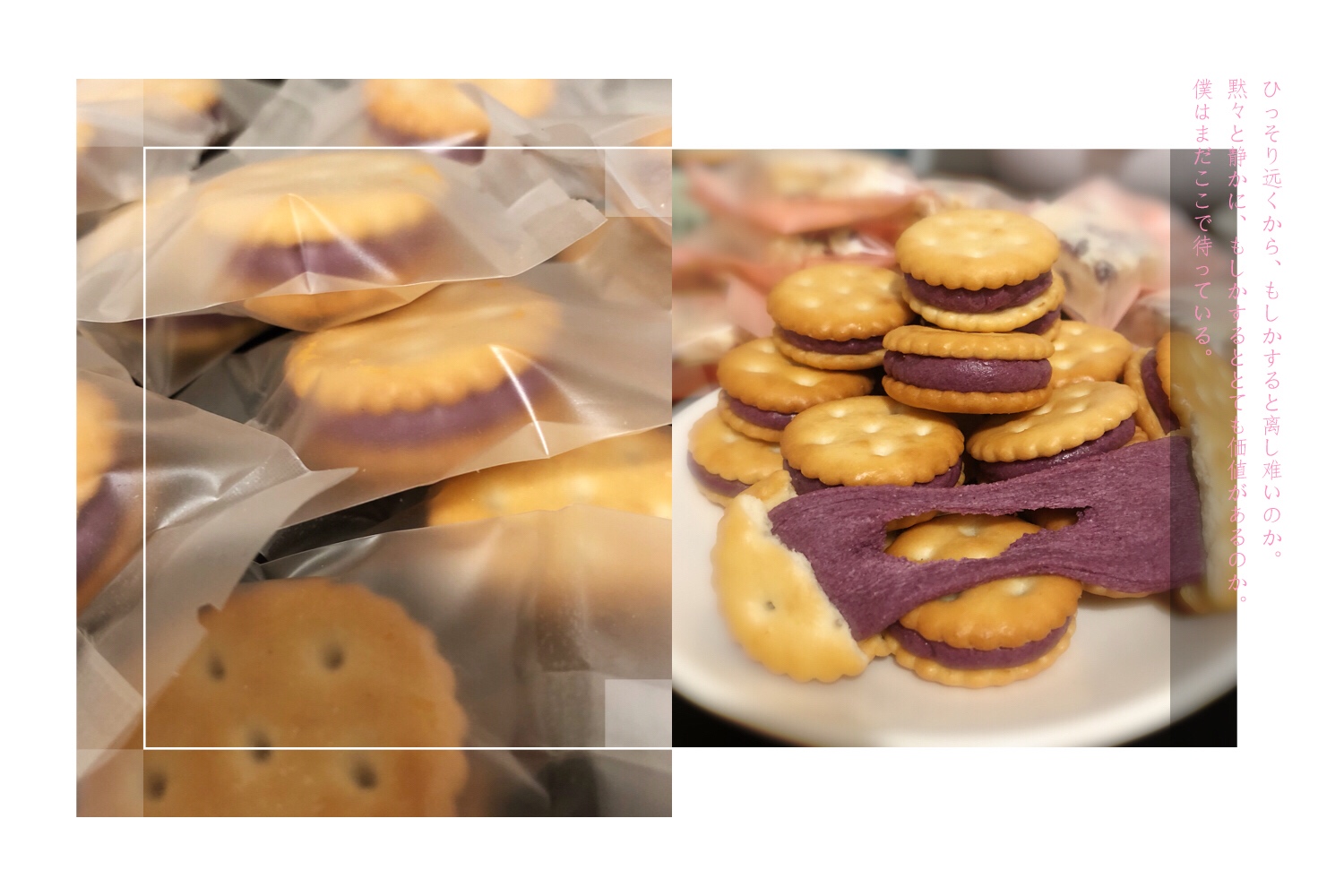 紫薯味牛扎饼干-大奇福版