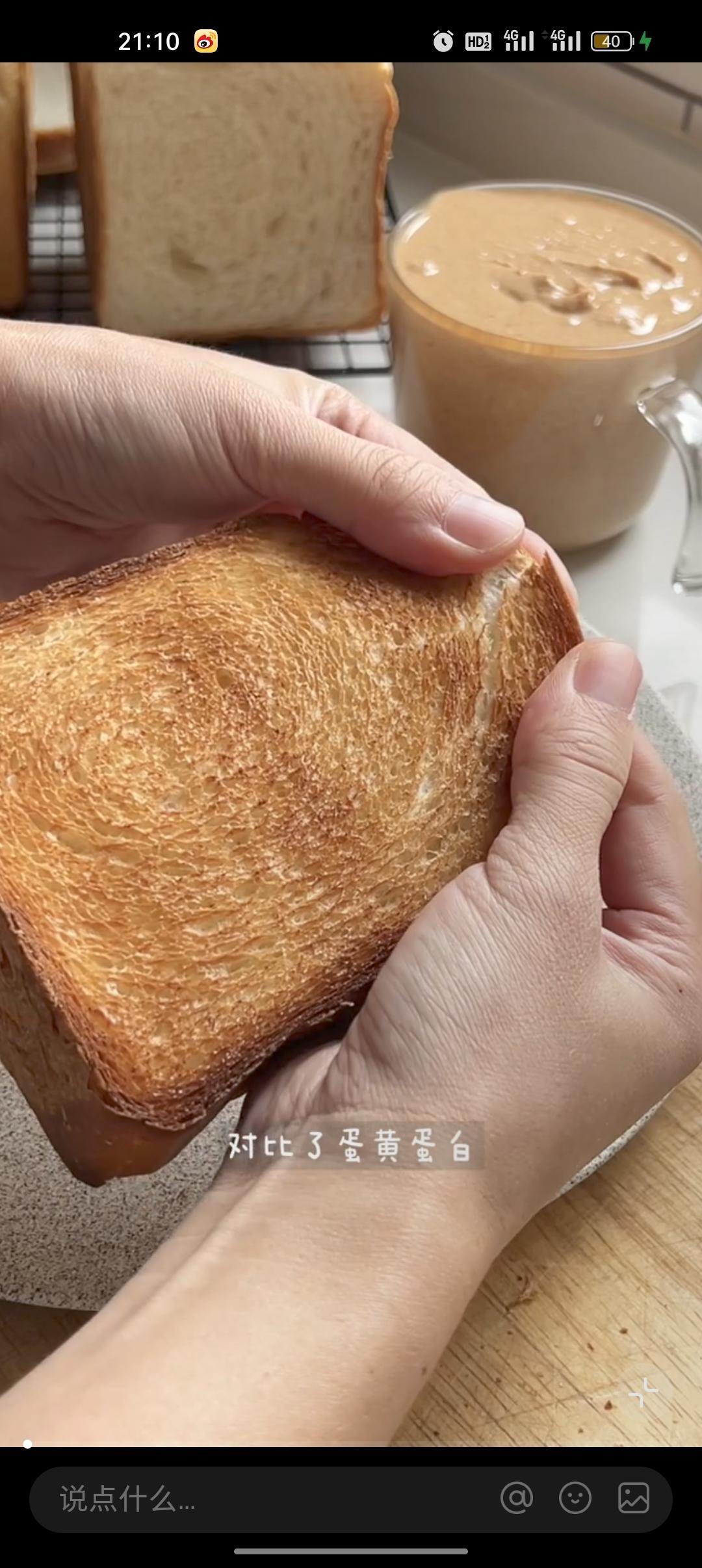 【自用搬运】Elin的无蛋奶白吐司（庞多米）