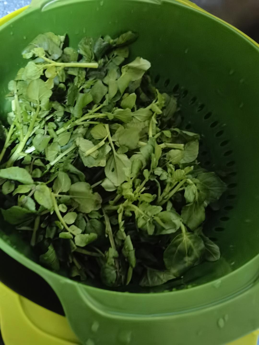 西洋菜滚肉丸汤