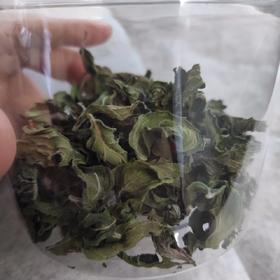 新鲜薄荷叶保存