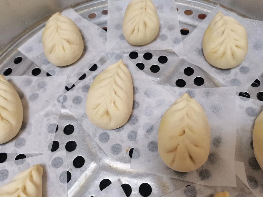 猪肉包子（附视频。一次性发酵。）