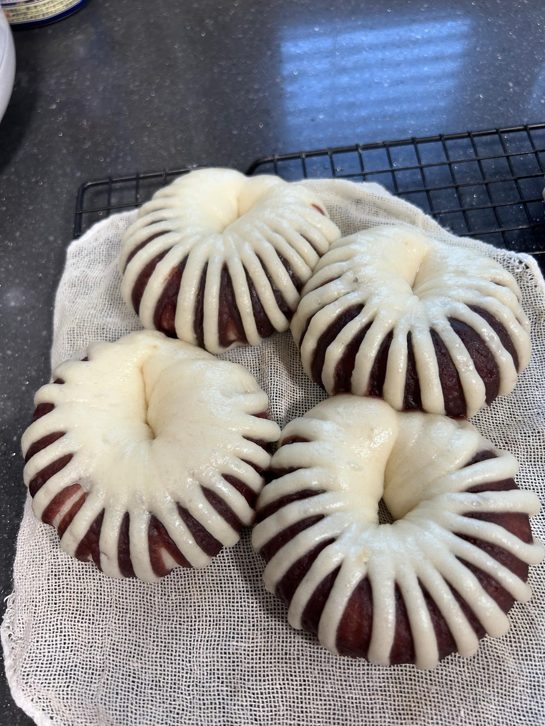 小灯笼豆沙卷 豆沙包 超治愈 一次醒发 附整形细节视频