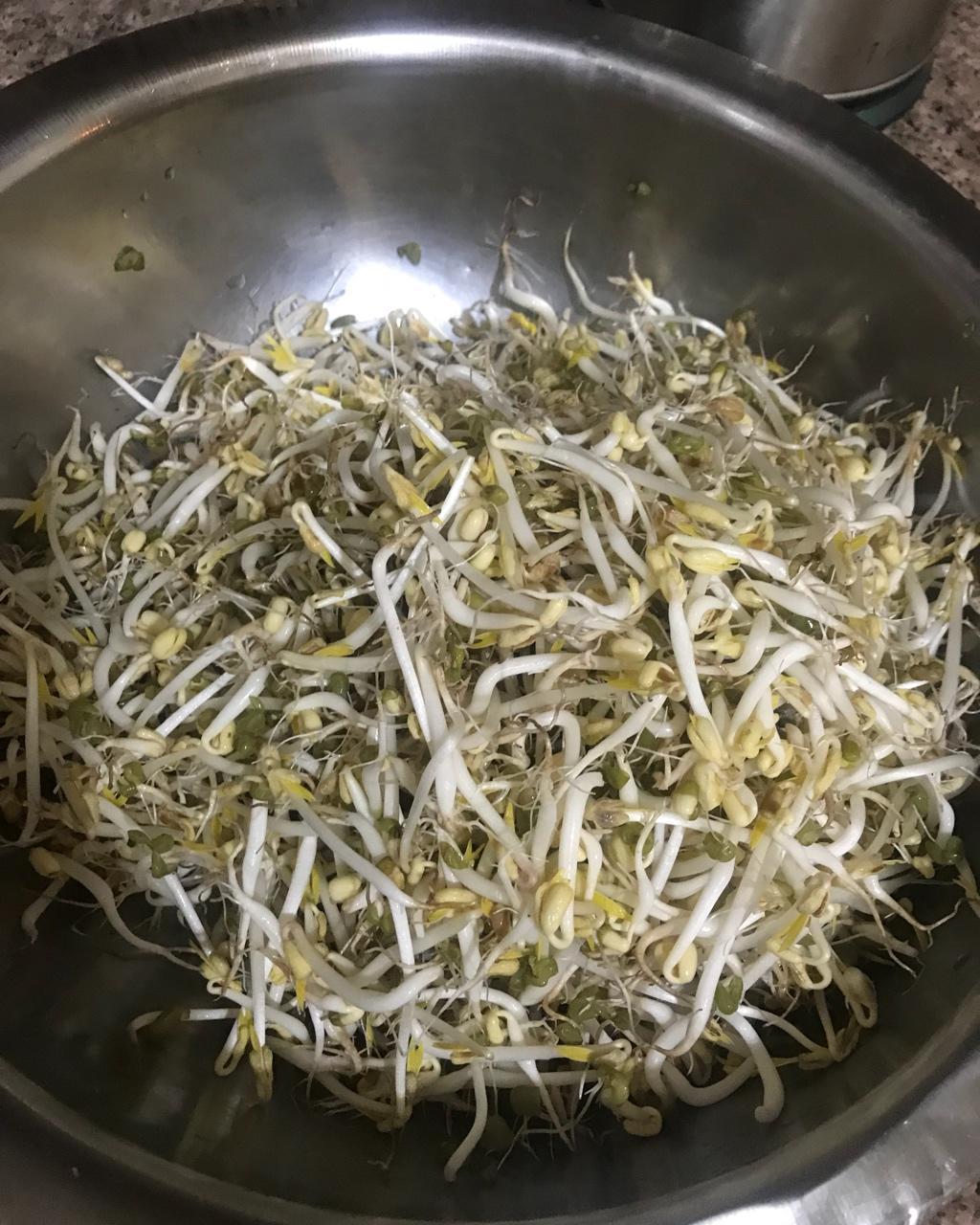 手机用户6015_sdb1做的自制豆芽