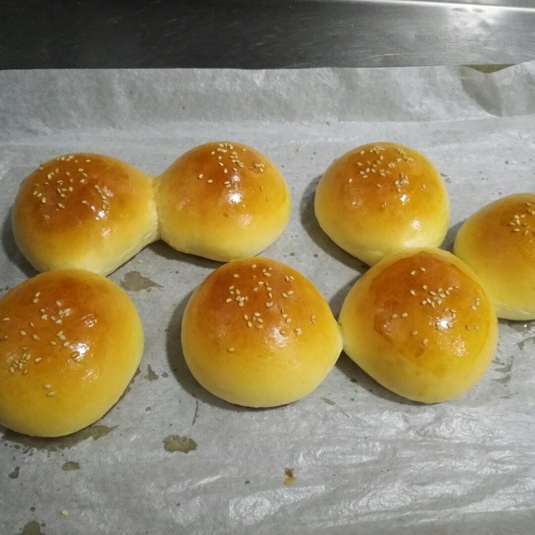鲜奶油小餐包（一次发酵）