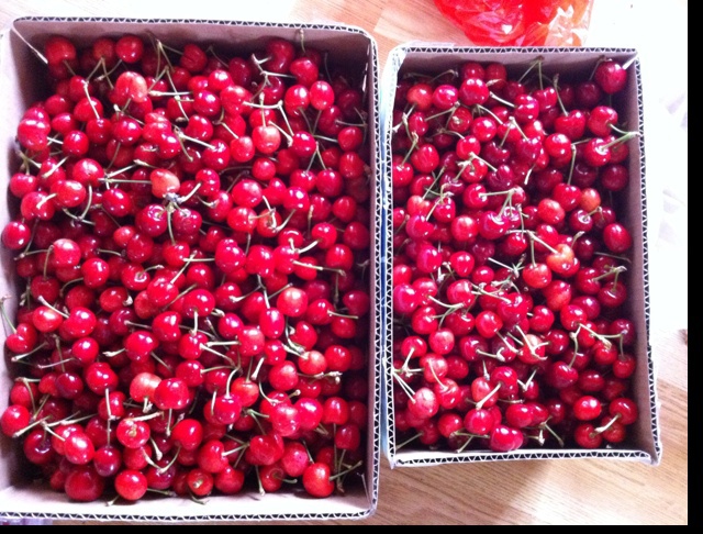 晚餐•2014年6月6日