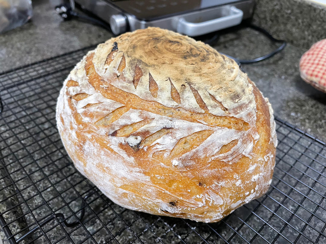 3.5小时快速直接法欧包丨免揉免机打免酵种