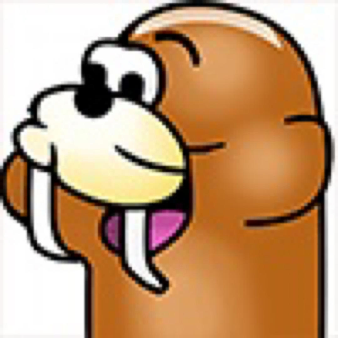 丰富多彩层出不穷