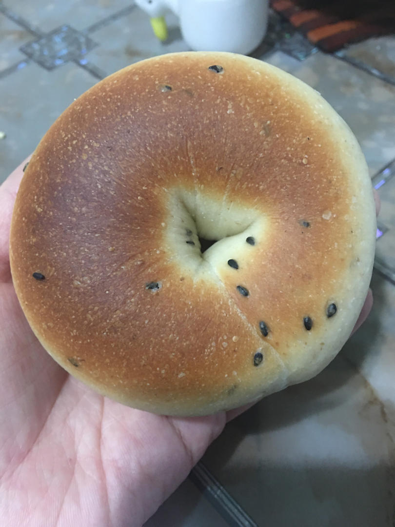 贝果（波兰种）