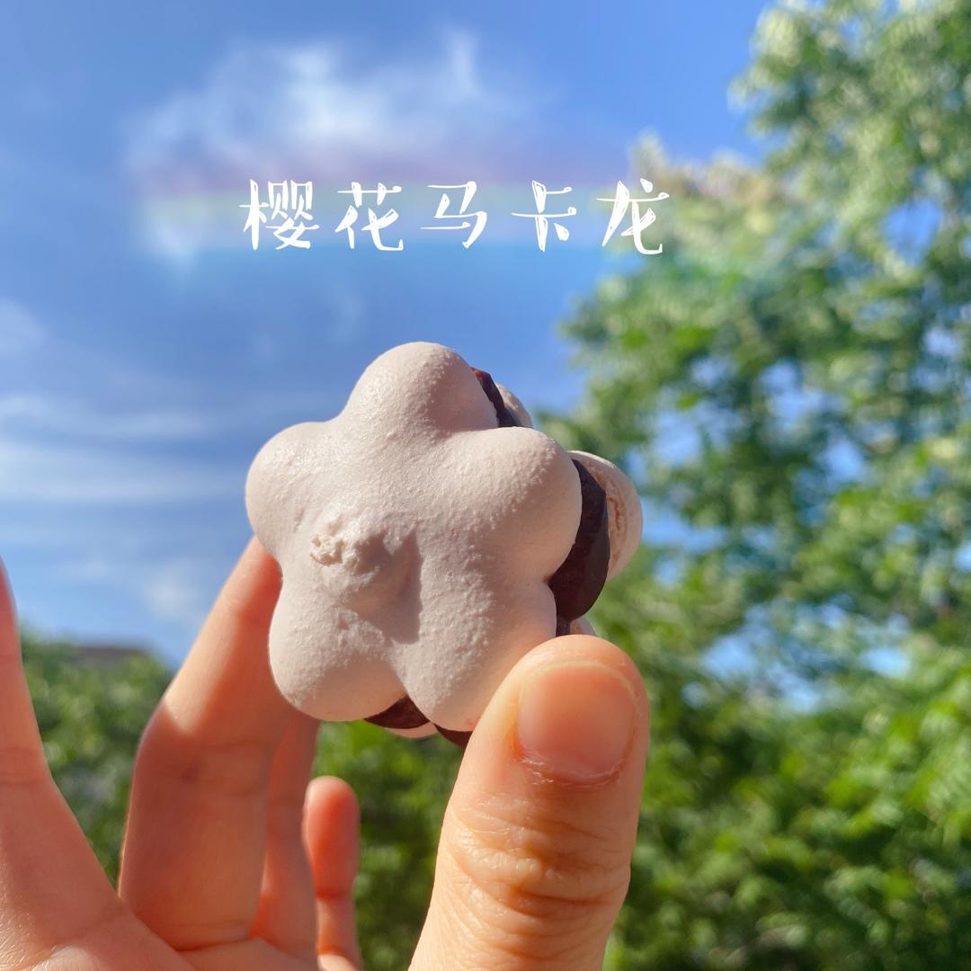 樱花马卡龙