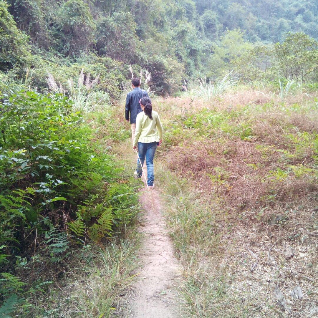 手机用户4624_yvws