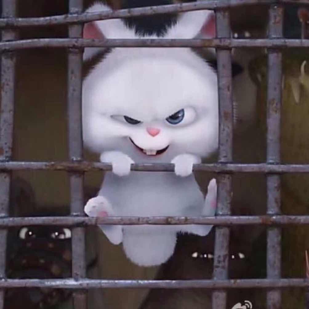 小小小颖欢乐多
