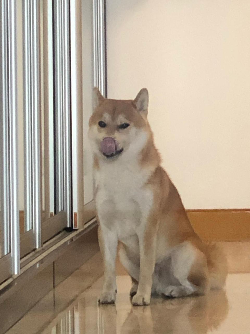 退休生活维爱与美食