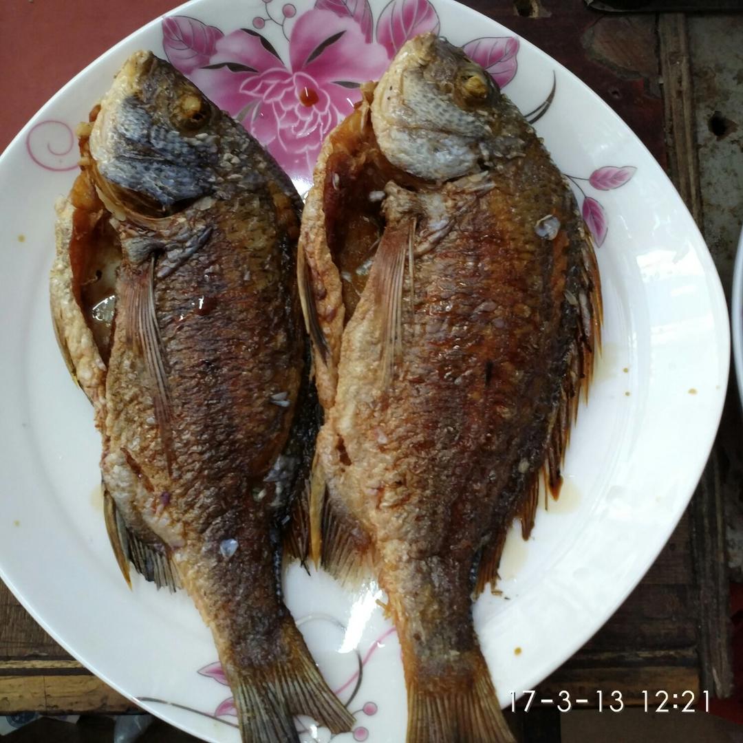 香煎太阳鱼