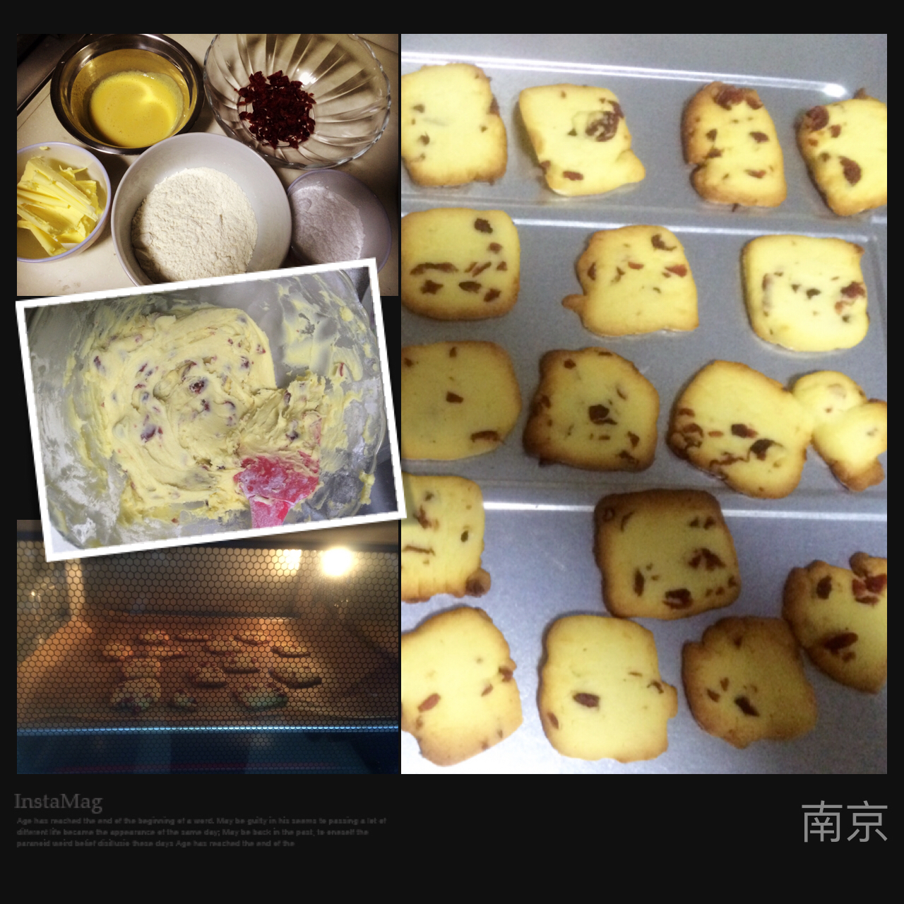【球儿の】蔓越梅饼干