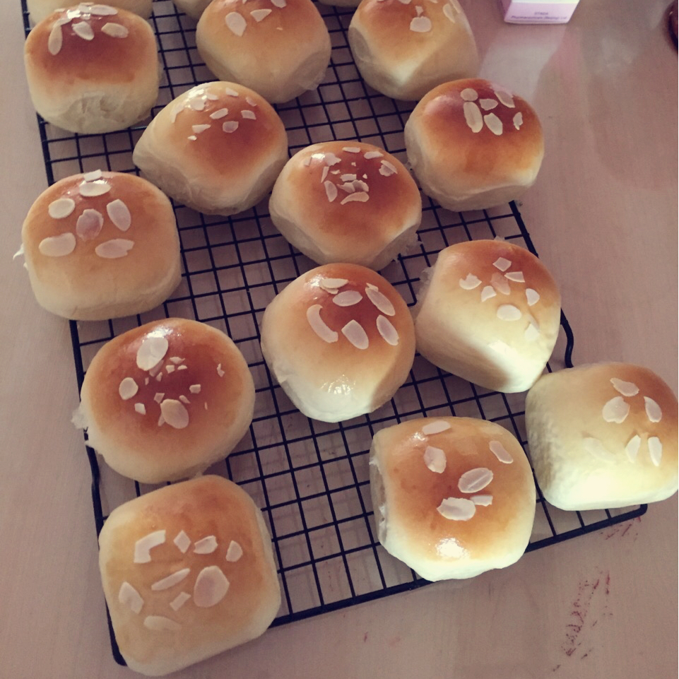 鲜奶油小餐包（一次发酵）