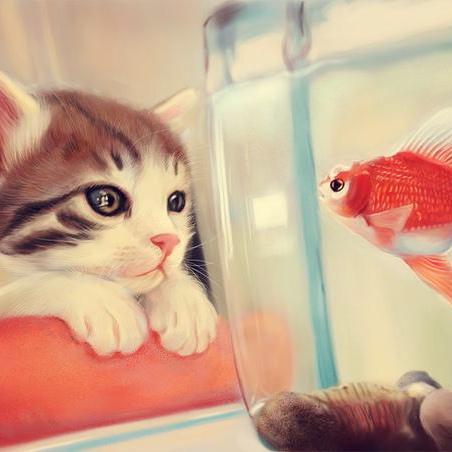 橘猫爱吃鱼儿